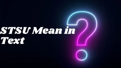 STSU Mean in Text