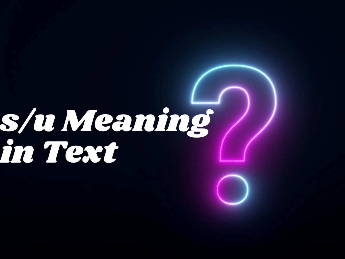 s/u Meaning in Text