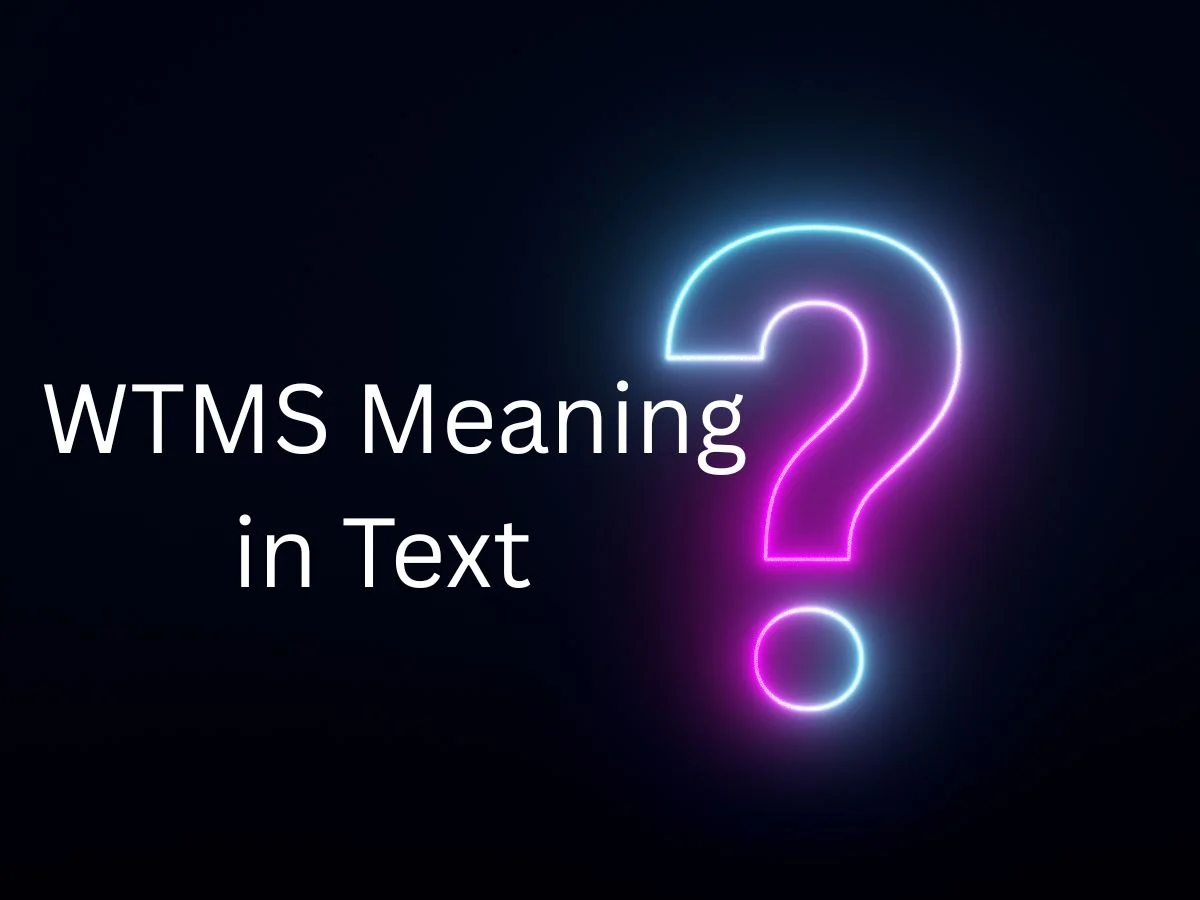  WTMS Meaning in Text