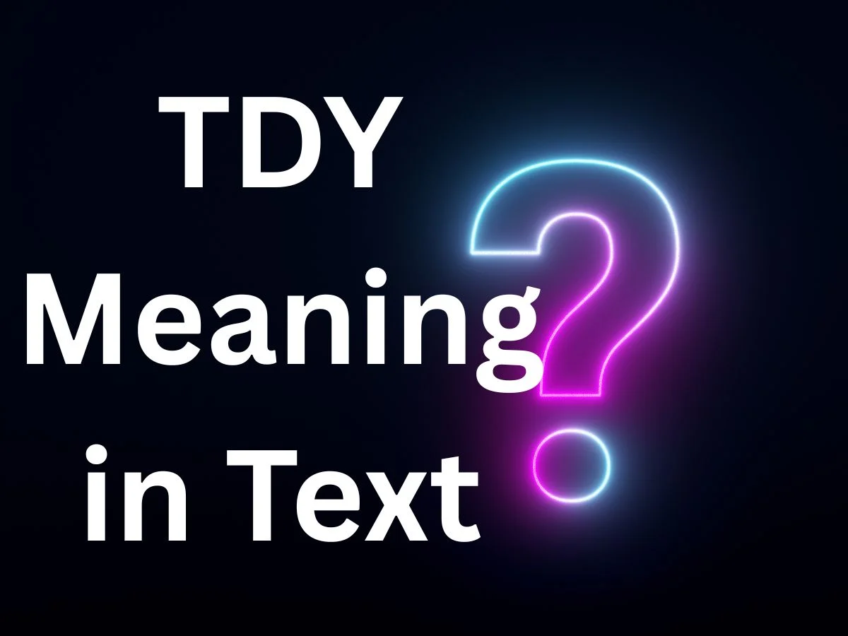 TDY Meaning in Text